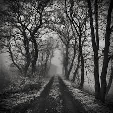 Beautiful Scenery Images Black And White Titusgroan Photo Beautiful Nature Photography