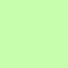 Solid color background with the name light green and corresponding hex color code #90ee90. Sold By The Half Yard Painter S Palette Solid In Agave By Paintbrush Studio In 2021 Green Wallpaper Colorful Wallpaper Solid Color Backgrounds