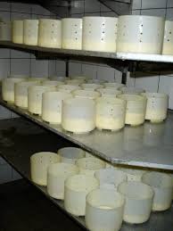 Kaserei Ferme Schickel Metzeral Visit Alsace In 2020 Frankreich Schnepfe