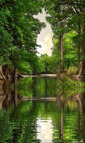 Maybe you would like to learn more about one of these? 480 Nature Gifs Ideas Nature Scenery Beautiful Nature