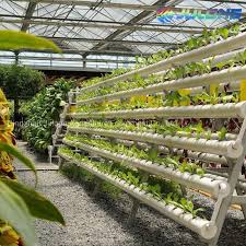 Here's everything you wanted to. China New Design Polycarbonate Sheet Agricultural Green House With Inside Shading System Photos Pictures Made In China Com