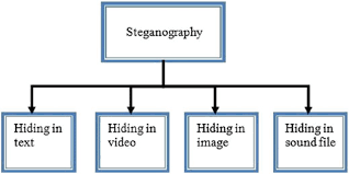 Image result for Steganography