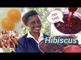Image result for Hibiscus nigricaulis