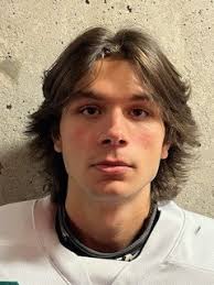 Marcus Gomes Stats and Player Profile