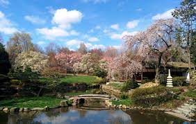 Natural Beauty Honolulu Star Advertiser