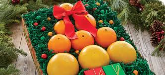 The christmas palm tree, scientific name adonidia merrillii, is one of the most popular palms in florida. Fruit Trees Fruit Tree Decoration Ideas