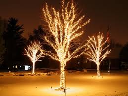 Maybe you would like to learn more about one of these? The Best 40 Outdoor Christmas Lighting Ideas That Will Leave You Breathless