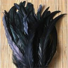 Check out our black hair feathers selection for the very best in unique or custom, handmade pieces from our shops. 50pcs Diy Jewelry Accessories Rooster Tail Feathers Dyed Black Hair Hat Stage Decoration 25 30cm Rooster Tail Feathers Tail Feathersrooster Tail Aliexpress