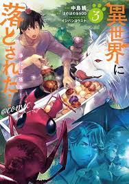 Isekai ni otosa reta… jouka wa kihon! 3 Japanese comic manga | eBay