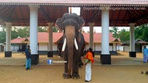 Karnan won the title for the heads up competition for the ninth year in a row at north paravur chakkumarasseri sreekumara ganesha temple. Mangalamkunnu Karnan Photos Facebook