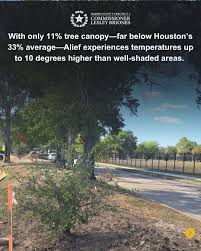 Commissioner Lesley Briones led the charge to plant 2,000 native trees,  creating 7.8 miles of green pathways in Alief! With only 11% tree  canopy—far below Houston's 33% average—Alief faces extreme heat, with
