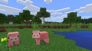 50 of the most amazing dating server list of 2021. Kwebbel Doge On Twitter I Have A Minecraft Server Butt The Server Will Be Deleted In 24 Hours So Join It Quickly Rules There Are No Rules Do Whatever You Want To
