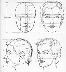 If you view a head from the front, its. Female Face Proportion Drawings Face Proportions Face Drawing