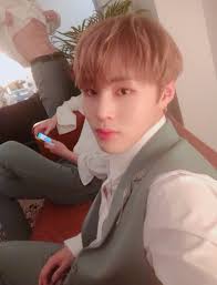 Contenu de chaque version : Wannaone Fancafe Closed On Twitter 180917 Ha Sungwoon Hasungwoon íì±ì´ 1st Post Ive Took A Selca But Someone Flash His Abs At The Background Who Want To See The Pic