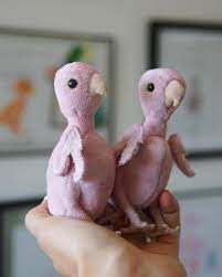 Hairless rat hairless animals skinny pig funny animals cute animals baby animals baboon cockatoo bored panda. Pin On Soft Sculpture And Plush