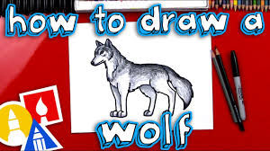 Connect the muzzle pointing down in the same direction, almost as long as the oval. How To Draw A Realistic Wolf Youtube