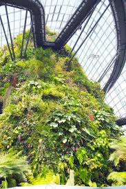 Gardens By The Bay سنغافورة