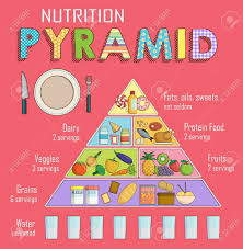 Infographic Chart Illustration Of A Healthy Balanced Nutrition