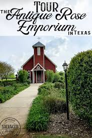 Take Tour Through The Antique Rose Emporium In Brenham Texas And See The Lovely Gardens Wedding Venue And Inspirational V Brenham Texas Brenham Antique Roses