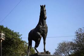 Kala ghoda Stock Photos, Royalty Free ...