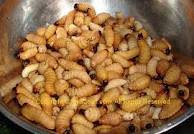 Check spelling or type a new query. Makan Makan Di Sabah Makanan Tradisi Kaum Kadazan Dusun