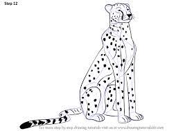 5 out of 5 stars. Learn How To Draw A Cheetah Sitting Big Cats Step By Step Drawing Tutorials