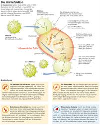 Hiv Immunschwache Krankheit Gesundheitsberater Berlin