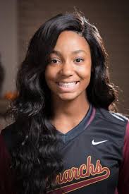 2017 All-Nebraska softball: Honorees always brought their best to the table