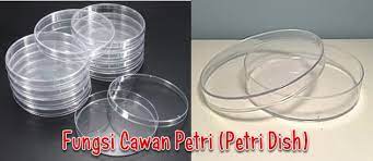 Terbuat dari bahan kaca yang cukup tebal. Fungsi Cawan Petri Petri Dish Fungsi Alat
