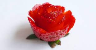 Check spelling or type a new query. Strawberry Roses