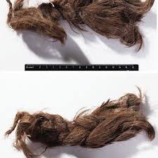 Pagesbusinessesbeauty, cosmetic & personal carehair extensions serviceebony braids and hair pieces. Braided Hairpiece Grave 1 Oglakhty Burial Ground 1903 Excavations Download Scientific Diagram