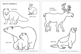 Walruses mainly feed on mollusks, fish occasionally. Free Templates For Making Paper Animals From The Polar Regions Including Instructions For Making A Stand For The An Arctic Animals Polar Animals Artic Animals