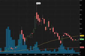 Best penny stocks for 2021: 4 Reddit Penny Stocks You Might Ve Missed This Month