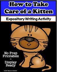 How To Take Care Of A Kitten Is A Fun And Engaging Expository Writing Activity Writing Activities Expository Writing Activities Brainstorming Graphic Organizer