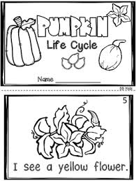 All About Pumpkins Life Cycle Sequencing Emergent Readers Kindergarten Pumpkin Life Cycle Emergent Readers Kindergarten Emergent Readers