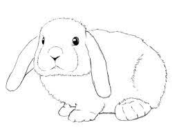 Pin On Drawing