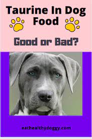 Taurine In Dog Food Good Or Bad Dog Food Recipes Best Dry Dog Food Natural Dog Food