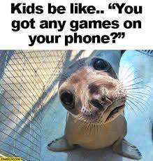 Kids Be Like You Got Any Games On Your Phone Cute Baby Seal Starecat Com