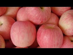 We did not find results for: 16 Manfaat Buah Apel Fuji Untuk Kesehatan Youtube