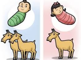 Malah, mereka berasa sangat bangga dan gembira dengan kelahiran anak lelaki kebiasaannya ibu bapa tidak berkesempatan untuk melakukan aqiqah dalam tempoh 21 hari dek kesibukan menyambut cahaya mata. Syarat Aqiqah Untuk Anak Perempuan Balqis Aqiqah