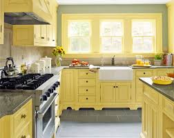 Farmhouse Sink Jpg 600 475 Kitchen Cabinets Kitchen Design Yellow Kitchen Cabinets