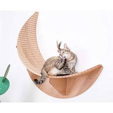 It has a 70+ lb weight limit, so there is not risk of collapse like all cat wall shelves and wall perches, it will need to be installed into wall studs. Luna Wall Mounted Celestial Cat Perch Catsplay Superstore Cat Perch Cat Furniture Cat Room