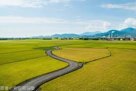 宜蘭 伯朗大道 宜蘭縣冬山鄉三奉路77號 country roads golf courses field