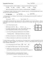 Punnett square coloring answer key worksheets learny kids. Spongebobgeneticsquiz Pdf Spongebob Genetics Quiz Name 1 For Each Genotype Below Indicate Whether It Is A Heterozygous He Or Homozygous Ho Tt Pp Dd Ff Course Hero