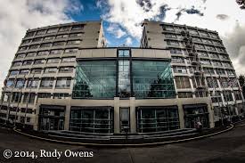 Image result for Harvest Gold Light 1972 Montgomery Ward