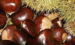 Esskastanien Europaisch Roh Ungeschalt De