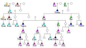 ju hoansi namesake kinship