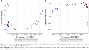 Full Text Metabolomics Study Of The Therapeutic Mechanism