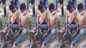 What is the 'No Mercy in Mexico' trend on TikTok? Everything to know about  the disturbing viral videos on the platform