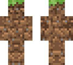 The end gateway is a block that appears as part of end gateways, which teleport the player between the main island and the other islands in the end. Earth Block Edited From Popbluepandas Minecraft Skin